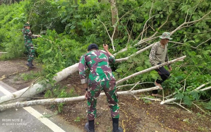 Tebang pohon rawan tumbang di sisi jalan
