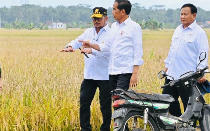 Menteri SYL bersama presiden Jokowi saat panen raya padi serentak di Kebumen Jateng, Kamis (9/3)