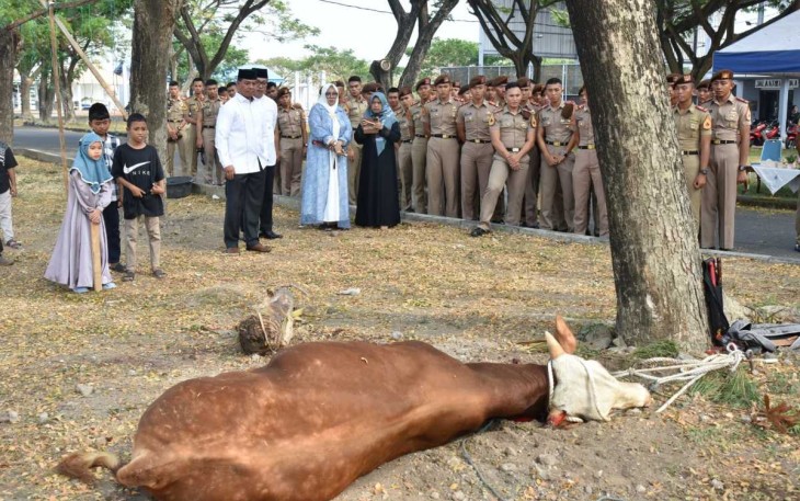 Pemotongan hewan qurban di AAL Surabaya 