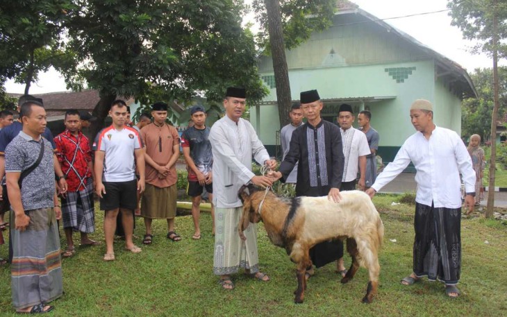Danmenarmed 2 Kostrad Kolonel Arm Joko Setiyo Kurniawan saat menyerahkan hewan qurban 