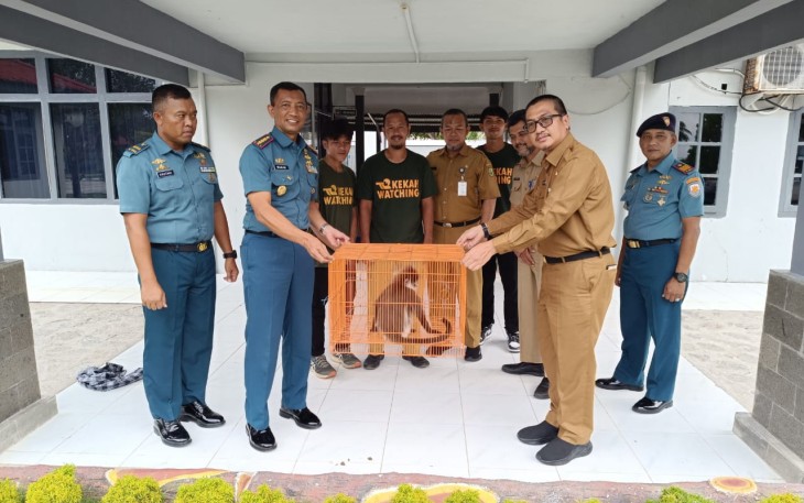 Boy Wijanarko Varianto Terima Penyerahan Hewan Kekah dari Danlanal Ranai 