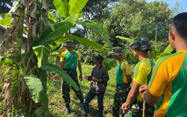 Transfer of Technology Pengembangan Budidaya Pisang Cavendish
