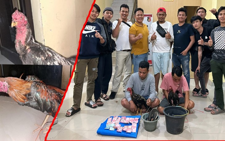 Gerebek Judi Sabung Ayam, Polisi Amankan 2 Pria, 2 Ekor Ayam dan Uang Tunai