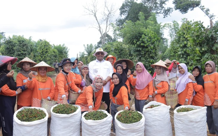 Pj Gubernur Babel Berupaya Kembalikan Kejayaan Lada Babel 