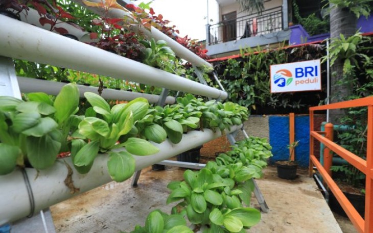 Kampung Palm Eco Green Village Malang