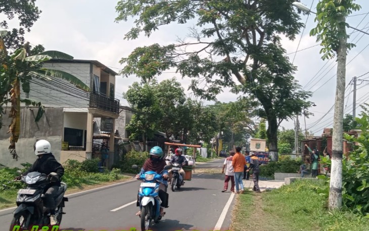 Jalan Raya Curungrejo Kepanjen