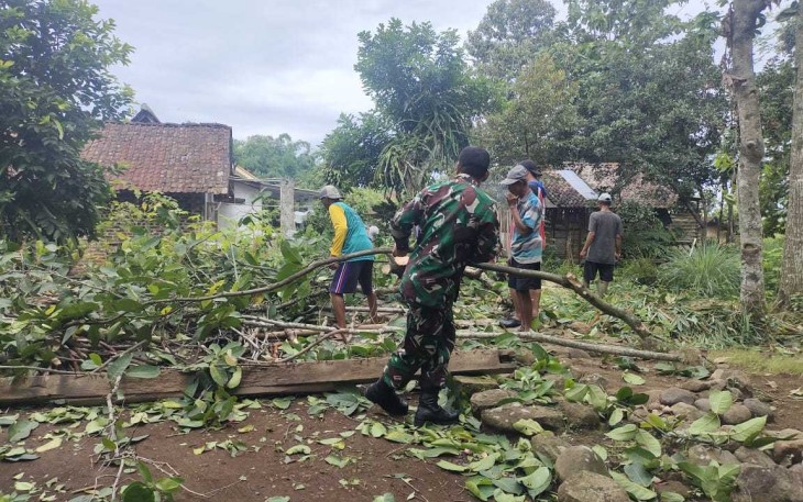 Penebangan pohon antisipasi tumbang di wilayah desa binaan 