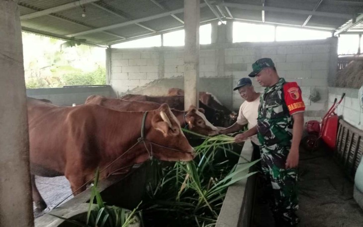 Pengecekan hewan ternak warga binaan