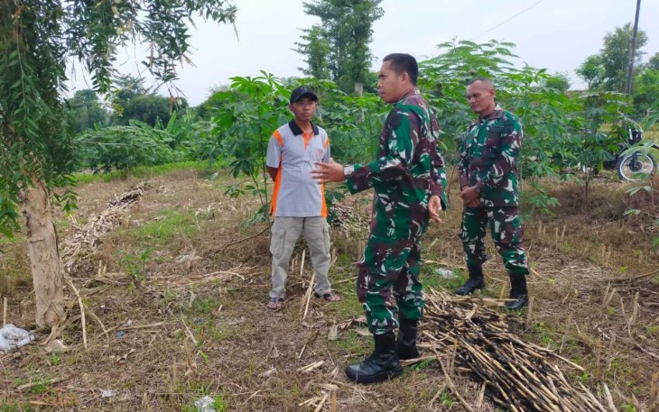 Dandim 0805/Ngawi Letkol Arm Didik Kurniawan saat mengecek kesiapan lahan jagung, Jum'at (1/3)