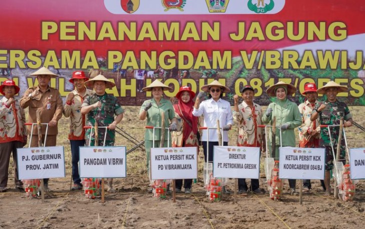 Pangdam V Brawijaya Mayjen TNI Rafael Granada Baay saat satuan jagung di Kabupaten Gresik, Minggu (3/3)