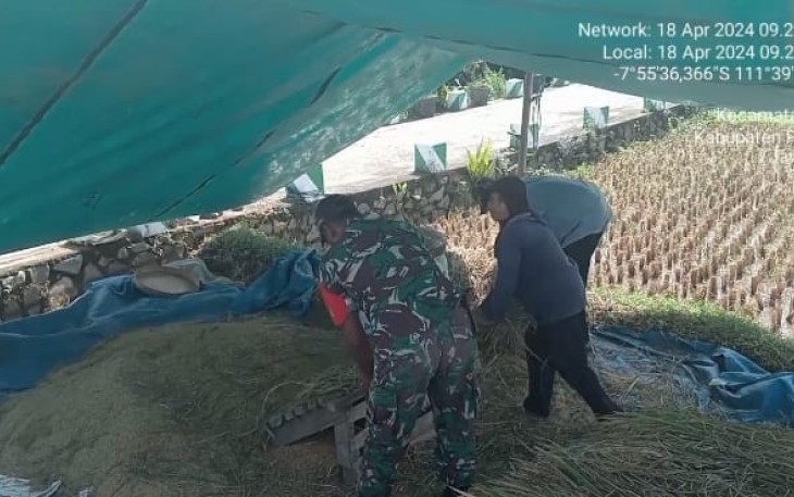Bantu panen padi warga binaan