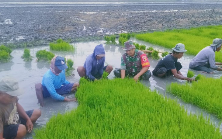 Pembibitan tanaman padi warga binaan 
