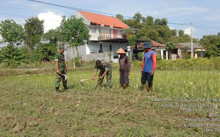 Pendampingan petani jagung di wilayah desa binaan