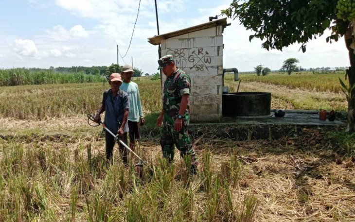 Pendampingan petani wilayah desa binaan 