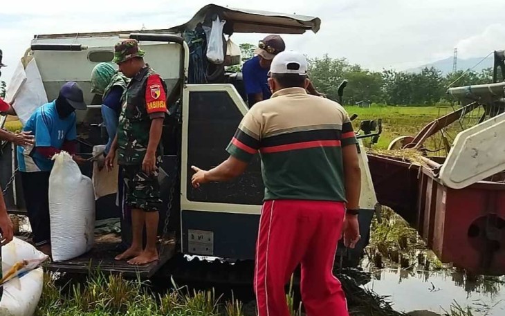 Bantu panen padi warga binaan
