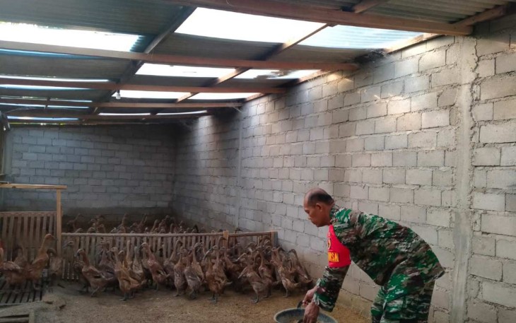 Pendampingan peternak bebek di wilayah desa binaan 