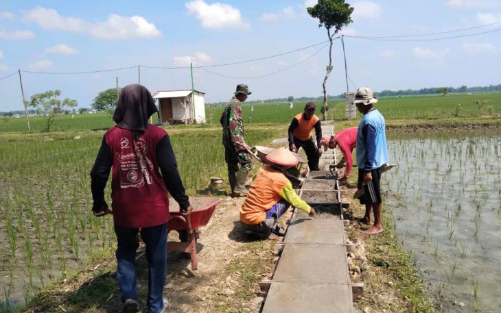Pembuatan pematang sawah di wilayah desa binaan 