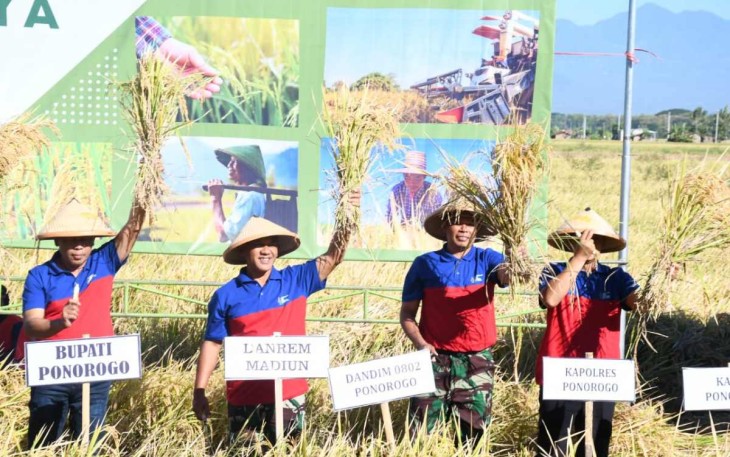 Panen raya padi di Kabupaten Ponorogo 