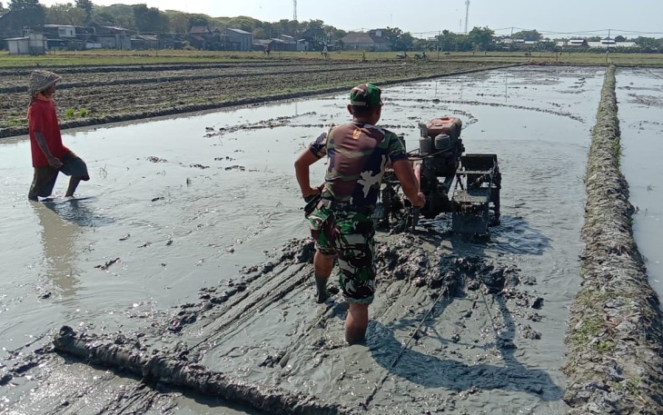Pendampingan petani wilayah desa binaan 