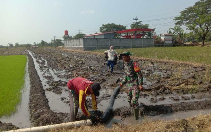 Bantu petani wilayah binaan aliri persawahan