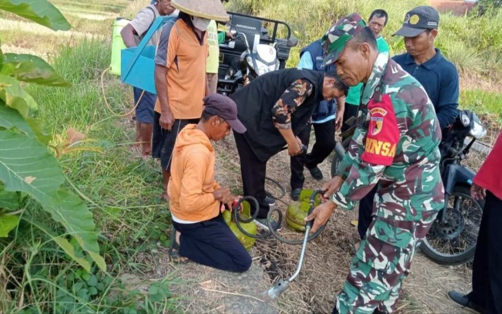 Bantu petani basmi hama tikus di wilayah desa binaan 