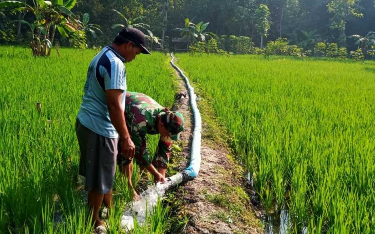 Pendampingan petani wilayah desa binaan 
