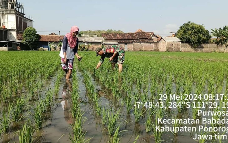 Pendampingan petani wilayah desa binaan 