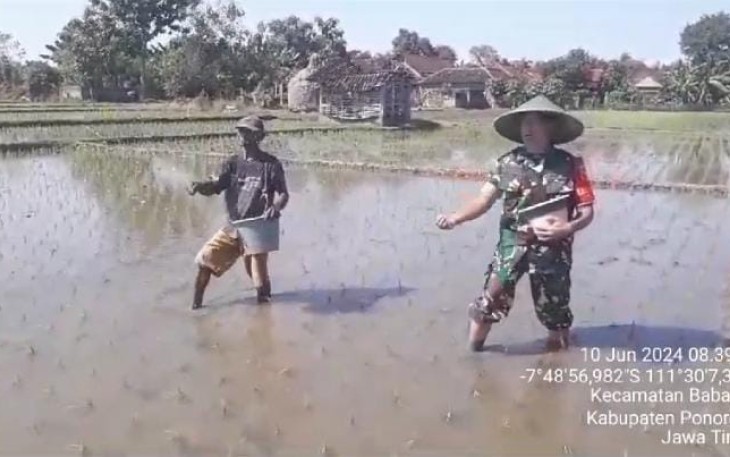 Pendampingan petani wilayah desa binaan 
