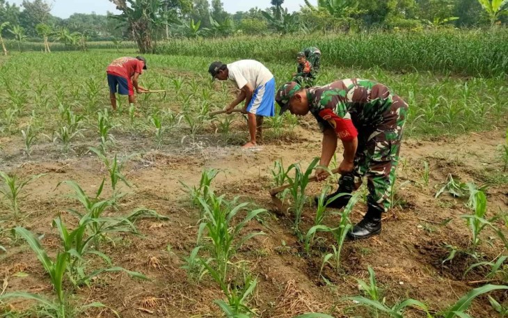 Pendampingan petani wilayah desa binaan 