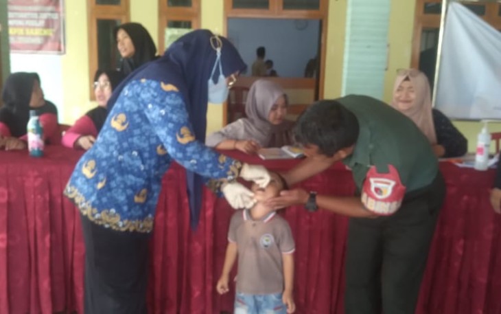 Pelayanan kesehatan posyandu balita di wilayah desa binaan 