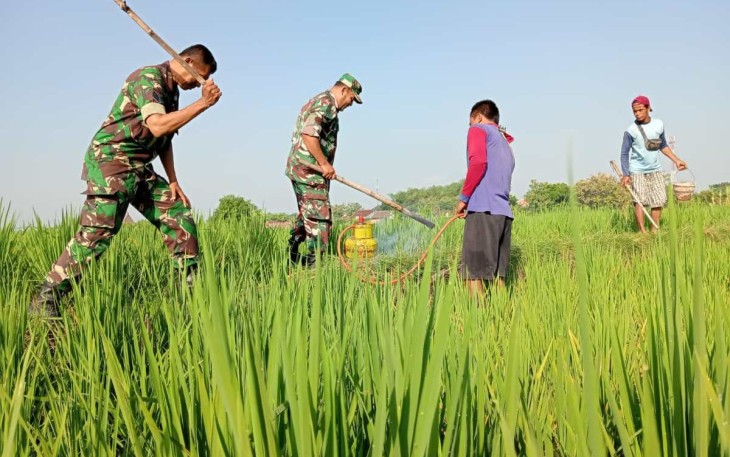 Gropyokan tikus wilayah desa binaan 