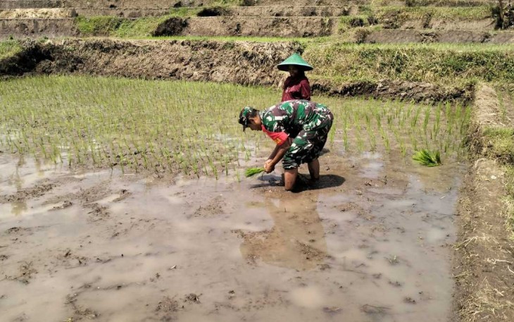 Pendampingan petani wilayah desa binaan 