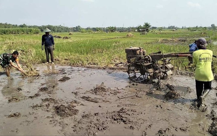 Pendampingan petani wilayah desa binaan 
