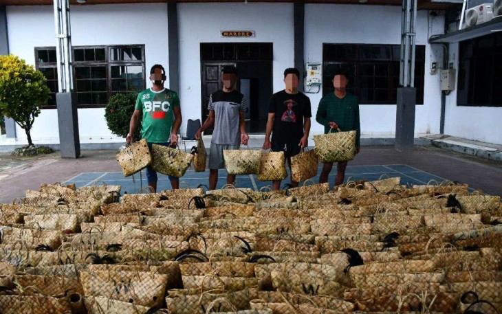 Penyelundupan ayam ras Filipina