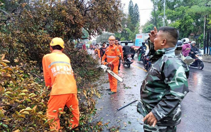 Penebangan pohon di wilayah binaan