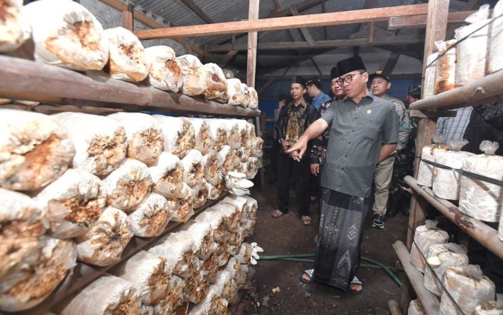 Mendes PDT Yandri Susanto meninjau budidaya jamur di desa Margorejo, Provinsi Lampung Selatan 