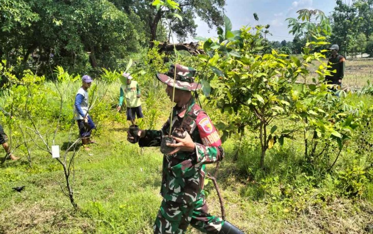 Penghijauan lahan di wilayah desa binaan 