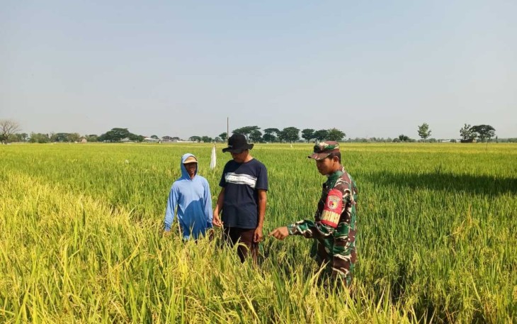 Pendampingan petani wilayah desa binaan 