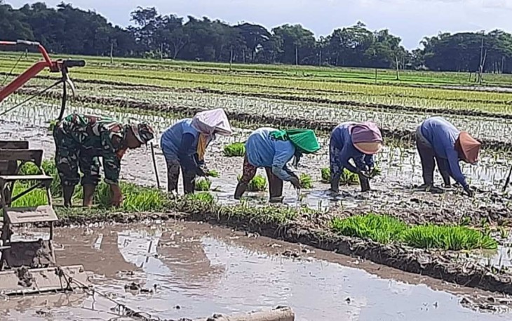 Bantu tanam padi warga binaan 
