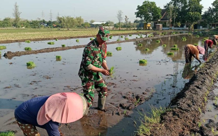 Tanam padi bersama warga binaan