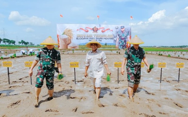 Mentan Arman dan Panglima TNI saat tanam padi di wilayah Kodim 0711, Desa Tegalsari Timur, Kecamatan Ampel Gading, Kabupaten Pemalang, Jawa Tengah, Kamis, 19 Desember 2024.