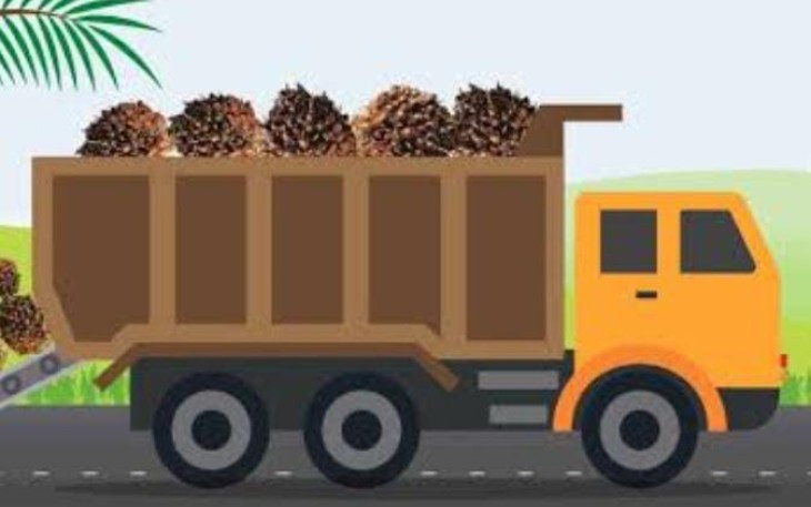 ilustrasi truk angkut buah sawit