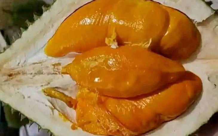 Durian Jenis Langka Varietas Unggul Lokal 