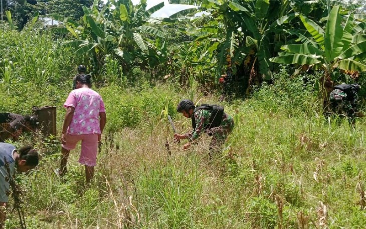 Satgas Yonif 310/KK Bantu Warga Buka Lahan Kosong Berkebun
