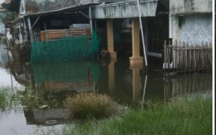 Banjir Rob Menerjang Kabupaten Tegal