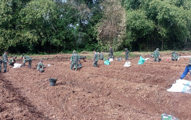 Anggota Kodim 0805 Ngawi Kompak Tanam sayuran dan Umbi-Umbian 