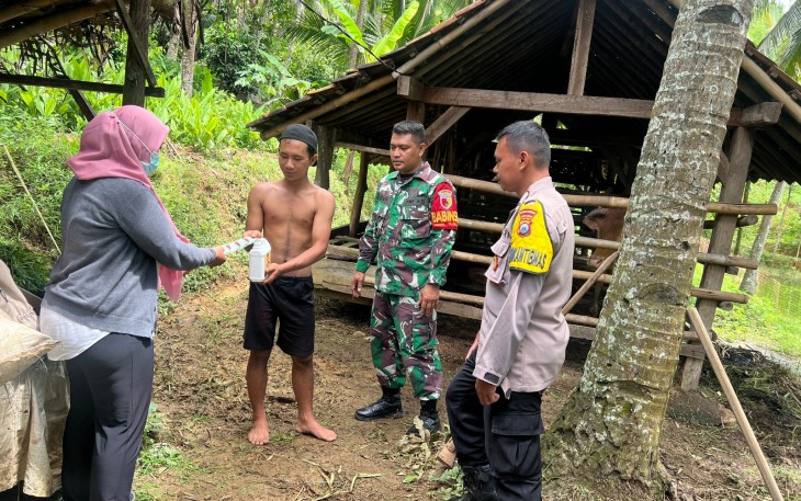  Babinsa Koramil 0801/01 Pacitan Serda Eden bersama Bhabinkamtibmas Polsek Pacitan melakukan monitoring perkembangan situasi saat ini, terkait merebaknya PMK dengan menyambangi langsung warga yang memiliki ternak sapi di kandang sapi mereka masing masing