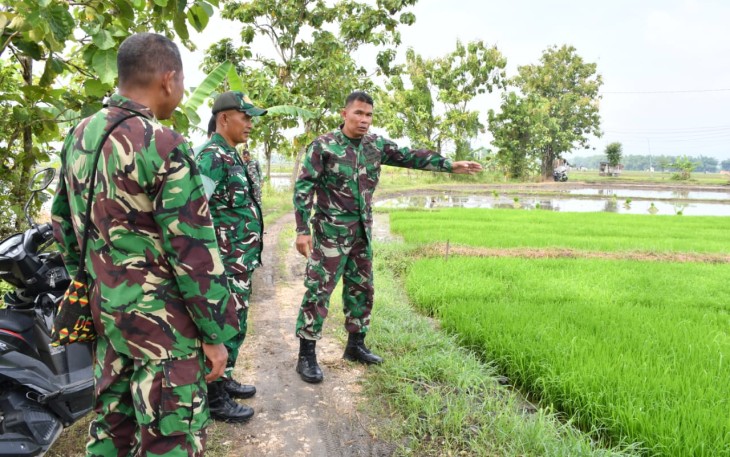 Komandan Kodim 0802/Ponorogo Letkol Inf Dwi Soerjono melakukan peninjauan langsung ke berbagai lahan pertanian yang ada di masing masing wilayah Koramil jajaran Kodim 0802/Ponorogo