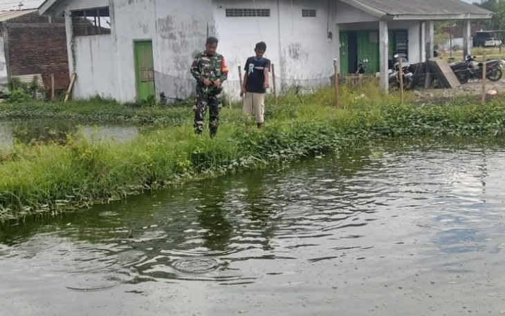 Babinsa Purworejo Dorong Peningkatan Ekonomi Warga Lewat Budidaya Ikan Patin