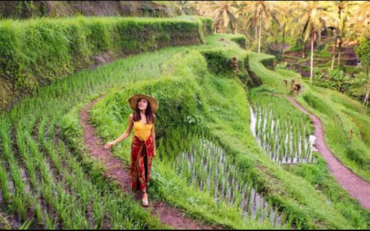 Bali Sun Tours Luncurkan Portofolio Pengalaman 2025 dan Pemesanan Langsung